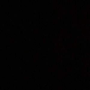 Meet your Posher, Rickie